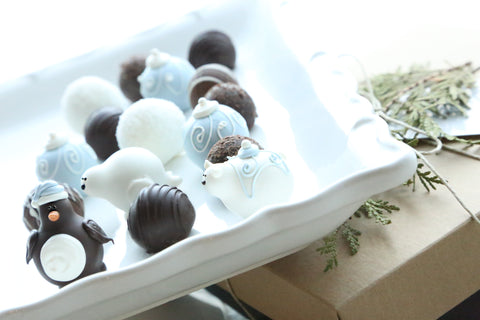 Combo Gift ~ 16-Piece ~ Polar Christmas