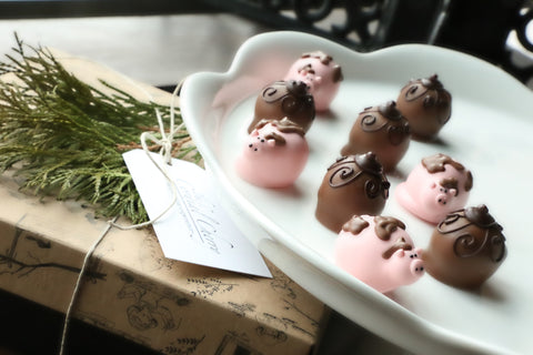 Chocolate Truffles ~ 9-Piece Gift ~ Muddy Piggies