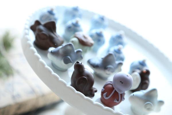 Chocolate Truffles ~ 16-Piece ~ Shark Week