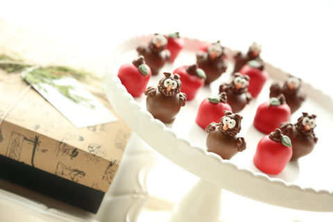 Chocolate Truffles ~ 16-Piece Gift ~ Apples and Owls