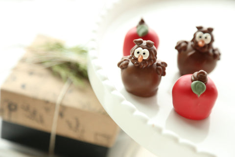 Chocolate Truffles  ~ 4-Piece Gift ~ Apples and Owls